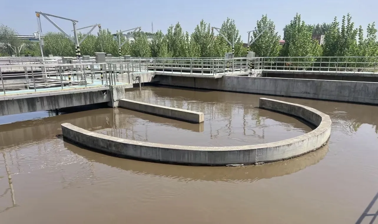 Wastewater treatment settling tank